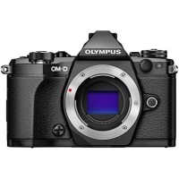 беззеркальный фотоаппарат Olympus OM-D E-M5