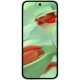 Смартфон Google Pixel 9 12/256GB Wintergreen