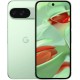 Смартфон Google Pixel 9 12/256GB Wintergreen