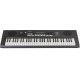Синтезатор Roland E-X10