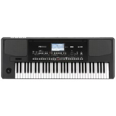 Аранжировочная рабочая станция Korg PA300