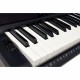 Синтезатор Casio CT-X800