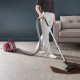 Пилосос безмішковий Rowenta Swift Power Cyclonic RO2910EA