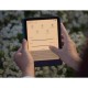 Електронна книга з підсвічуванням Amazon Kindle Paperwhite 12th Gen. 2024 16Gb Raspberry