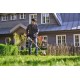 Тример акумуляторний STIHL FSA 50 SET (FA110115713)