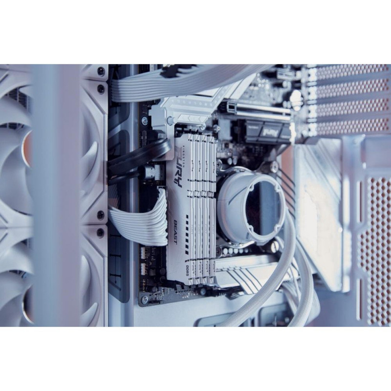 Пам'ять для настільних комп'ютерів Kingston FURY 32 GB DDR5 6000 MHz Beast White (KF560C30BW-32)