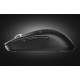 Миша Pulsar X2A eS Size2 4K Black (PX2AES21)